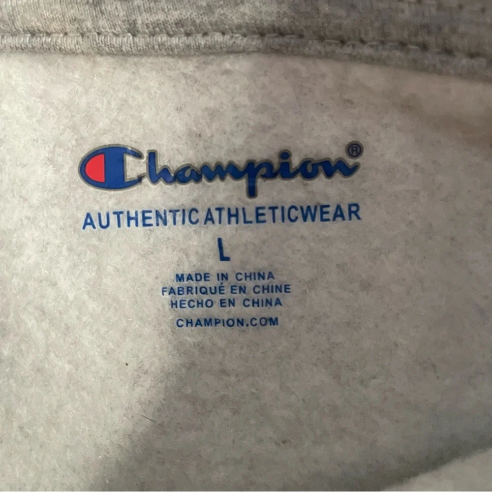 Champion colorblock embroidered